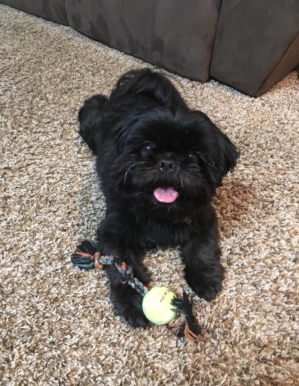/Images/uploads/Humane Society of Utah/HSUCalendar/entries/1025thumb.jpg
